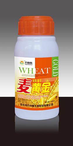 铁杆麦黄金100ml