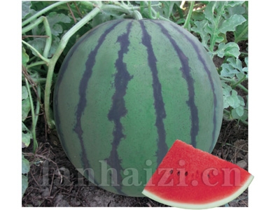 美丽星光
