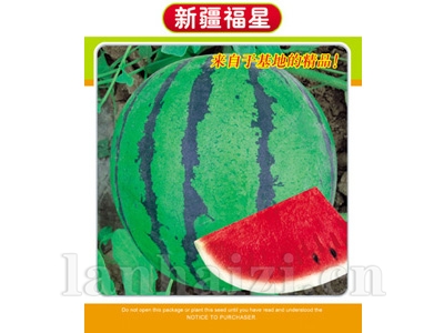 新疆福星