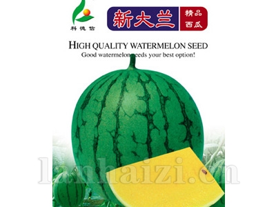 新大兰