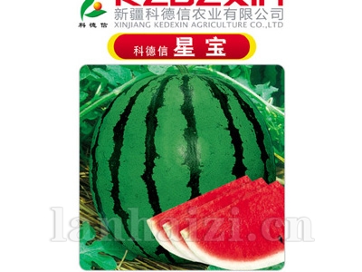 科德信星宝