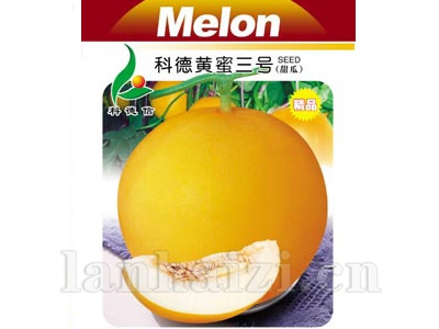 科德黄蜜三号