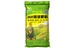  小苹果缓释掺混肥（时耐准）（25KG）