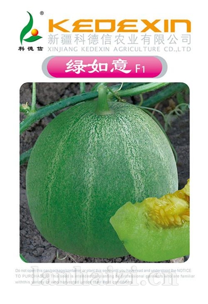 绿如意甜瓜种子