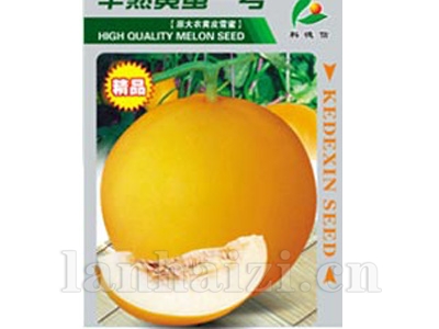 早熟黄蜜一号