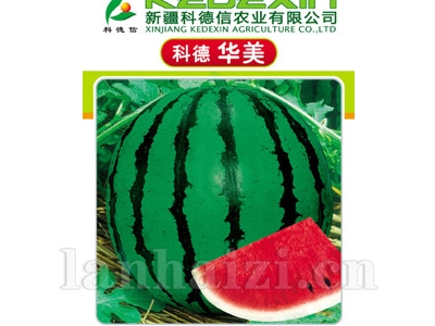 科德华美