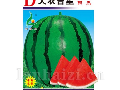 大农吉星