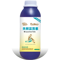 天然芸苔素