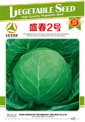 盛春2号--甘蓝