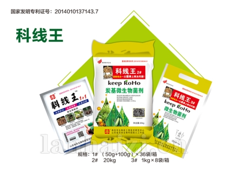 科线王系列