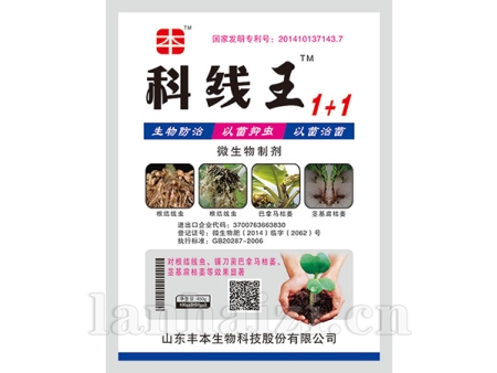 科线王2号