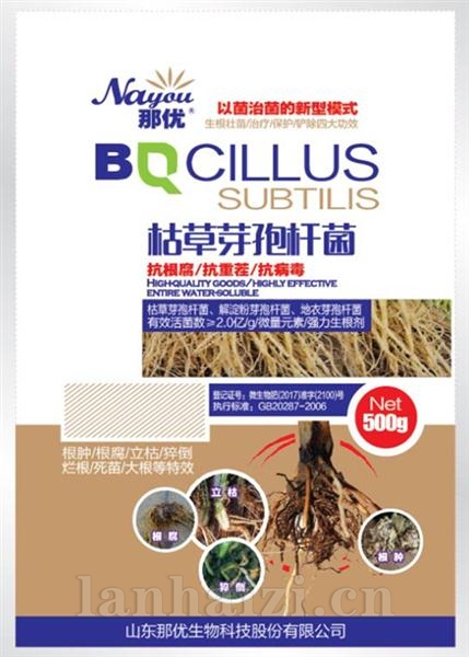 那优枯草芽孢杆菌