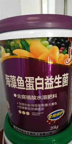 海藻鱼蛋白益生菌