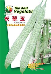 长翠玉——苦瓜