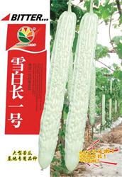 雪白长一号——苦瓜