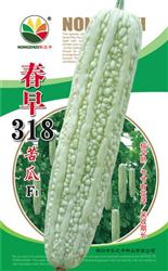 春早318——苦瓜