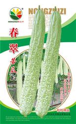 春翠——苦瓜