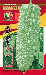 力量苦瓜——苦瓜