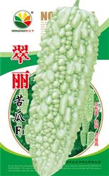 翠丽苦瓜——苦瓜