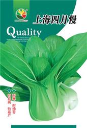 上海四月慢——小白菜