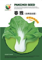 春雅——小白菜
