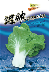 迟帅——小白菜