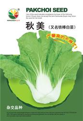 秋美——小白菜