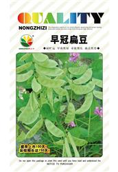 早冠扁豆——扁豆