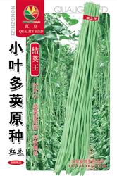 小叶多荚原种——豇豆、架豆