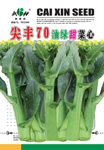 尖丰70甜菜心