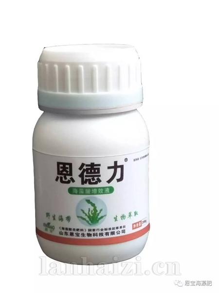 恩德力