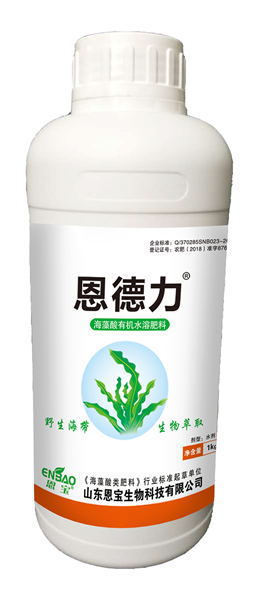 恩德力