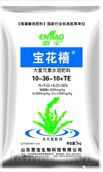 宝花禧