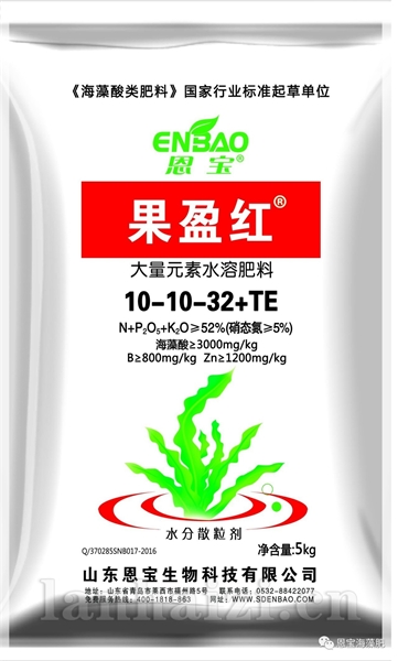 果盈红