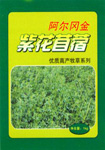 阿尔冈金紫花苜蓿