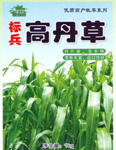 标兵高丹草