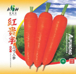 红贵丰8寸人参