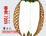 春贵7009萝卜