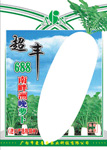 超丰688萝卜