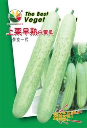 上栗早熟白黄瓜——小菜园