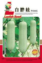 白胖娃——小菜园