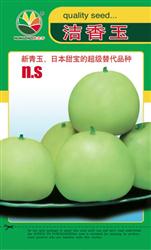 洁香玉——小菜园