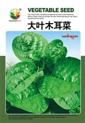 大叶木耳菜——木耳菜