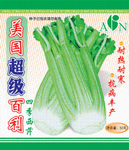 美国超级百利西芹