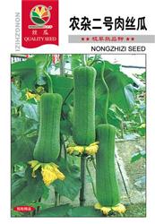 农杂二号肉丝瓜——丝瓜