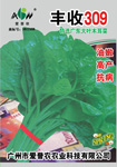 丰收309木耳菜