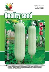 密多收——丝瓜