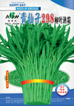 青仙子298柳叶通菜