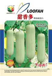 甜香多——丝瓜