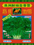 澳洲耐抽苔香菜